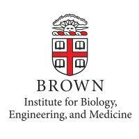 brown university institute for biology, engineering, and medicine logo image