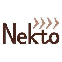 nekto logo image