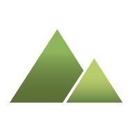 altruic advisors logo image