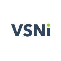 vsn international logo image