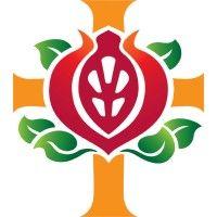 st john of god health care logo image