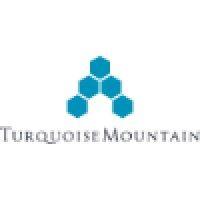 turquoise mountain logo image