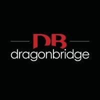 dragonbridge logo image