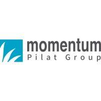 momentum group - israel logo image