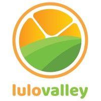 lulo valley logo image