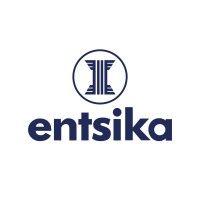 entsika consulting services logo image