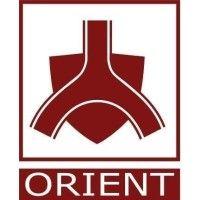 orient energy systems pvt. ltd. logo image