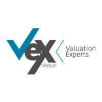 vex group - valuation experts logo image