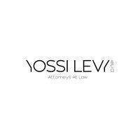 yossi levy & co. logo image