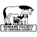 logo of Humane Society Of Ventura County