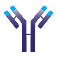 immunovant logo image