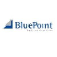 bluepoint venture marketing