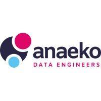 anaeko logo image