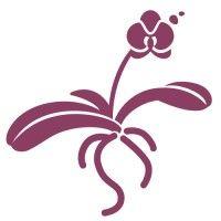 orchid initiative logo image