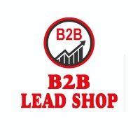 b2b lead shop logo image