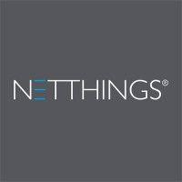 netthings logo image