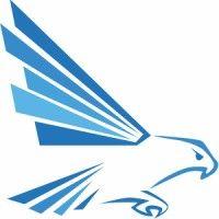 blue falcon consulting group logo image