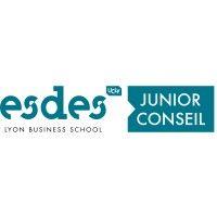 esdes junior conseil logo image