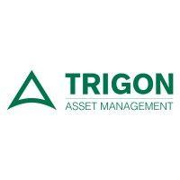 trigon asset management as logo image