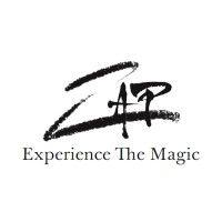 zap enterprises logo image