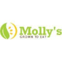 molly's salads logo image