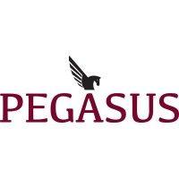 pegasus disputes logo image