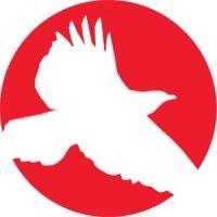 red hawk technologies, llc logo image