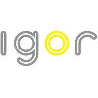 igor, inc. logo image