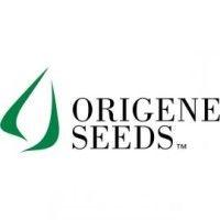 origene seeds ibérica s.l logo image