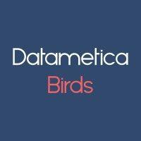 datametica birds