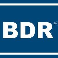 bdr - business development resources logo image