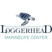 loggerhead marinelife center logo image