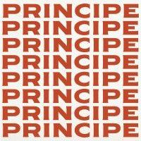 principe logo image