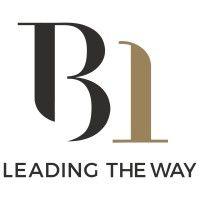 b1 consultant ltd logo image