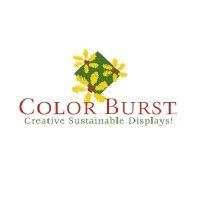 color burst logo image