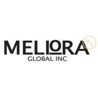 meliora global logo image