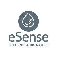 esense-lab limited logo image