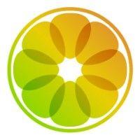 citrus solutions australia logo image