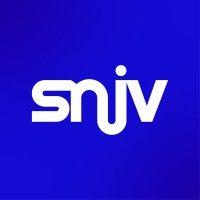 snjv - syndicat national du jeu vidéo