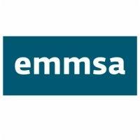 emmsa it services logo image