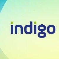 indigo grup