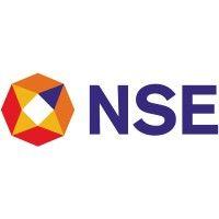 national stock exchange of india limited (nse india) logo image