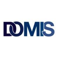 domis construction logo image