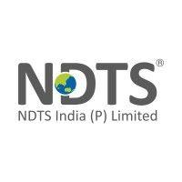 ndts india (p) limited logo image