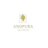 anopura jaipur logo image