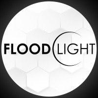 floodlight consulting group logo image