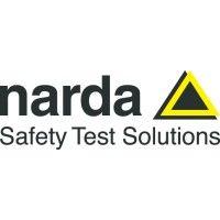 narda safety test solutions - italy