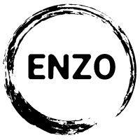 enzo logo image