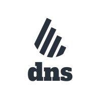 dns accountants logo image