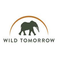 wild tomorrow logo image